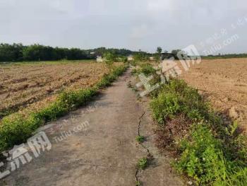 南宁西乡塘区 108亩水浇地经营权出租