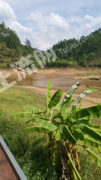 崇左江州区50亩水库经营权转让