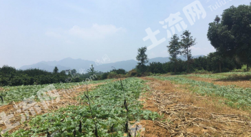 桂林资源县3亩耕地经营权出租