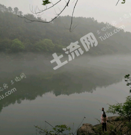 桂林陽(yáng)朔縣200平米宅基地使用權(quán)出租