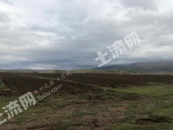 阿坝阿坝县 50亩 旱地 经营权转让