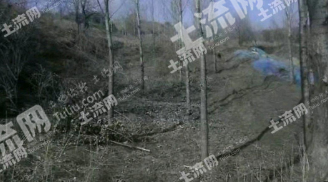 四平铁东区15亩果园经营权出租