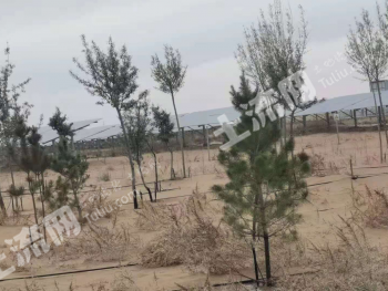 阿拉善盟阿拉善左旗 80000亩 荒地 出租