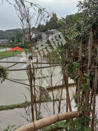 遵义汇川区 1.4亩 水田 经营权转让