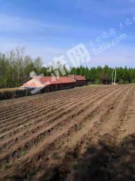 吉林舒兰市 930亩 有林地 经营权转让