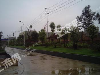 眉山丹棱县32亩工业用地使用权转让