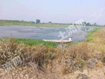 荆州洪湖市 40亩 水产养殖用地 经营权出租