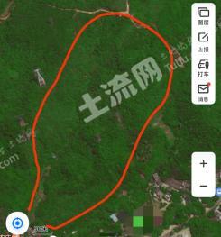 深圳龙岗区 200亩 果园 经营权入股