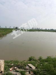 岳阳君山区256亩耕地-水田经营权转让