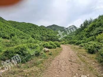 鞍山岫岩满族自治县 50亩 河流 经营权转让