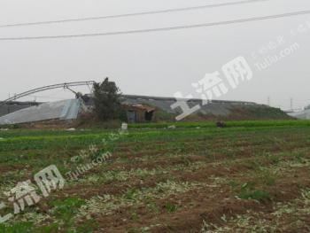 潍坊寿光市 15亩 水浇地 经营权出租