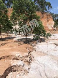 北海铁山港区 100亩 其它耕地 经营权出租