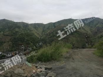 攀枝花仁和区 1360亩 乔木林地 经营权出租