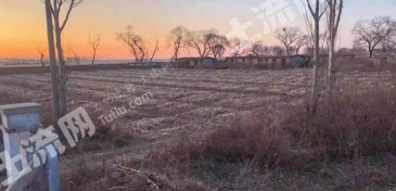 齐齐哈尔梅里斯达斡尔族区 30亩 畜牧养殖用地 经营权转让