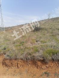 三门峡卢氏县 600亩 其它草地 使用权出租