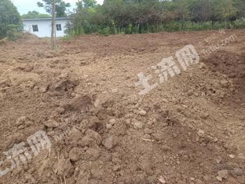 六安裕安区 35亩 旱地 经营权出租