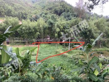 肇庆广宁县 0.18亩 水田 经营权转让