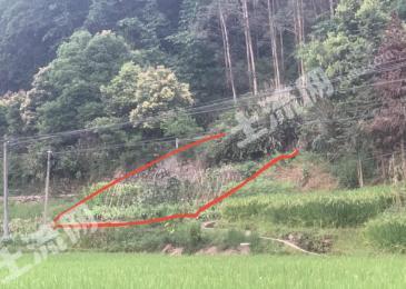 肇庆广宁县 0.1亩 旱地 经营权转让