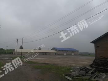 哈尔滨巴彦县 147亩 空闲用地 出租