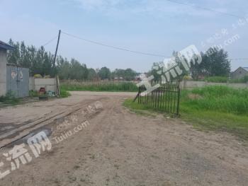 哈尔滨双城区 5.55亩 空闲地 使用权转让