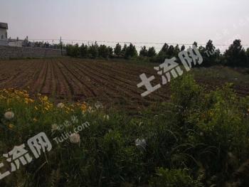 烟台招远市20亩畜牧养殖用地经营权转让