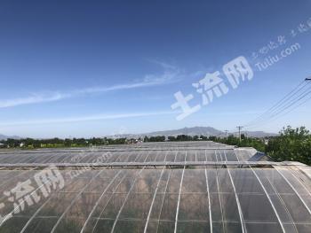 咸阳泾阳县 100亩 果园 经营权转让