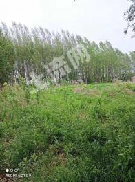 哈尔滨双城区6000平米商业及住宅-宅基地使用权出租