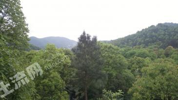 湘潭韶山市 700平米 宅基地 使用權出租