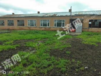 齐齐哈尔克东县 6亩 综合养殖用地 经营权转让