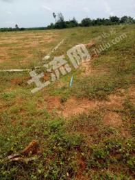 廊坊广阳区万庄镇4亩口粮地经营权转让