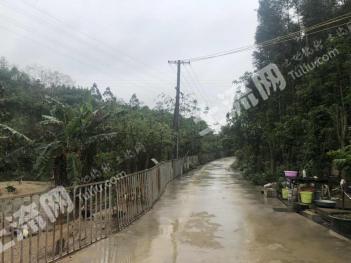 柳州柳北区 70亩 有林地 经营权出租