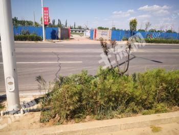 银川兴庆区 40亩 畜牧养殖用地 经营权出租