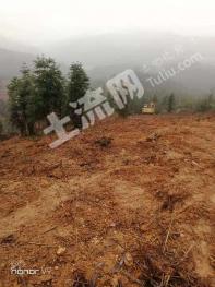 衡阳衡阳县 600亩 其它林地 经营权转让