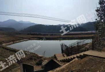 随州广水市 100亩 水田 经营权合作