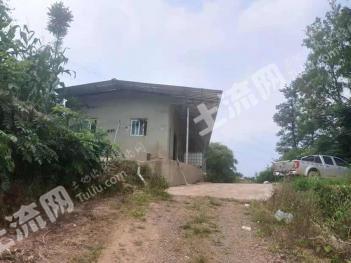 眉山洪雅县356亩果园经营权转让