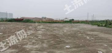 沧州新华区 10亩 裸地 出租