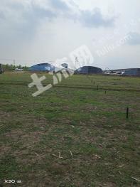 锦州黑山县 90亩 畜牧养殖用地 经营权转让