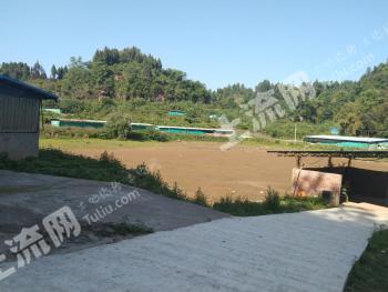 达州开江县 120亩 畜牧养殖用地 经营权转让