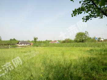 南京浦口区 80亩 旱地 经营权转让