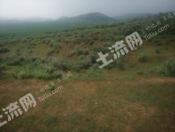 锦州义县 150亩 荒山经营权 转让