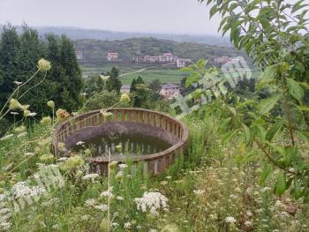 广安邻水县 500亩 水浇地 经营权出租