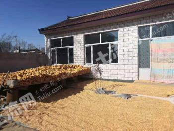 保定涞源县 600平米 农家庭院使用权出租