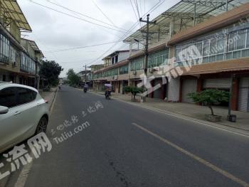 绵阳三台县220平米农家庭院使用权出租