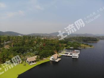 滁州全椒县 580亩 乔木林地 经营权转包