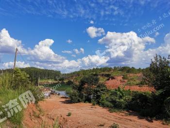 河源连平县 3333平米 综合用地 经营权转让
