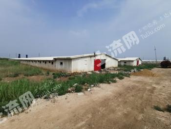 东营河口区30亩畜牧养鸭养殖用地经营权转让