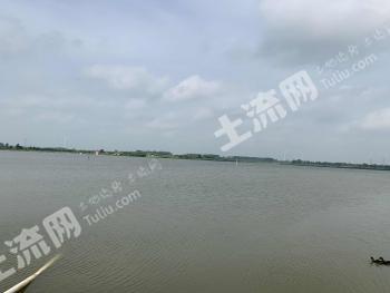 滁州定远县 700亩 水库水面 经营权转包