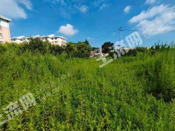 双鸭山尖山区 4000平米 城镇住宅 使用权出让