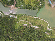 玉林容县 260亩 有林地 经营权转包