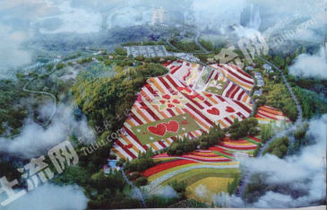 达州万源市 100亩 其它林地 经营权转让